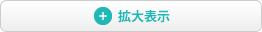 拡大表示